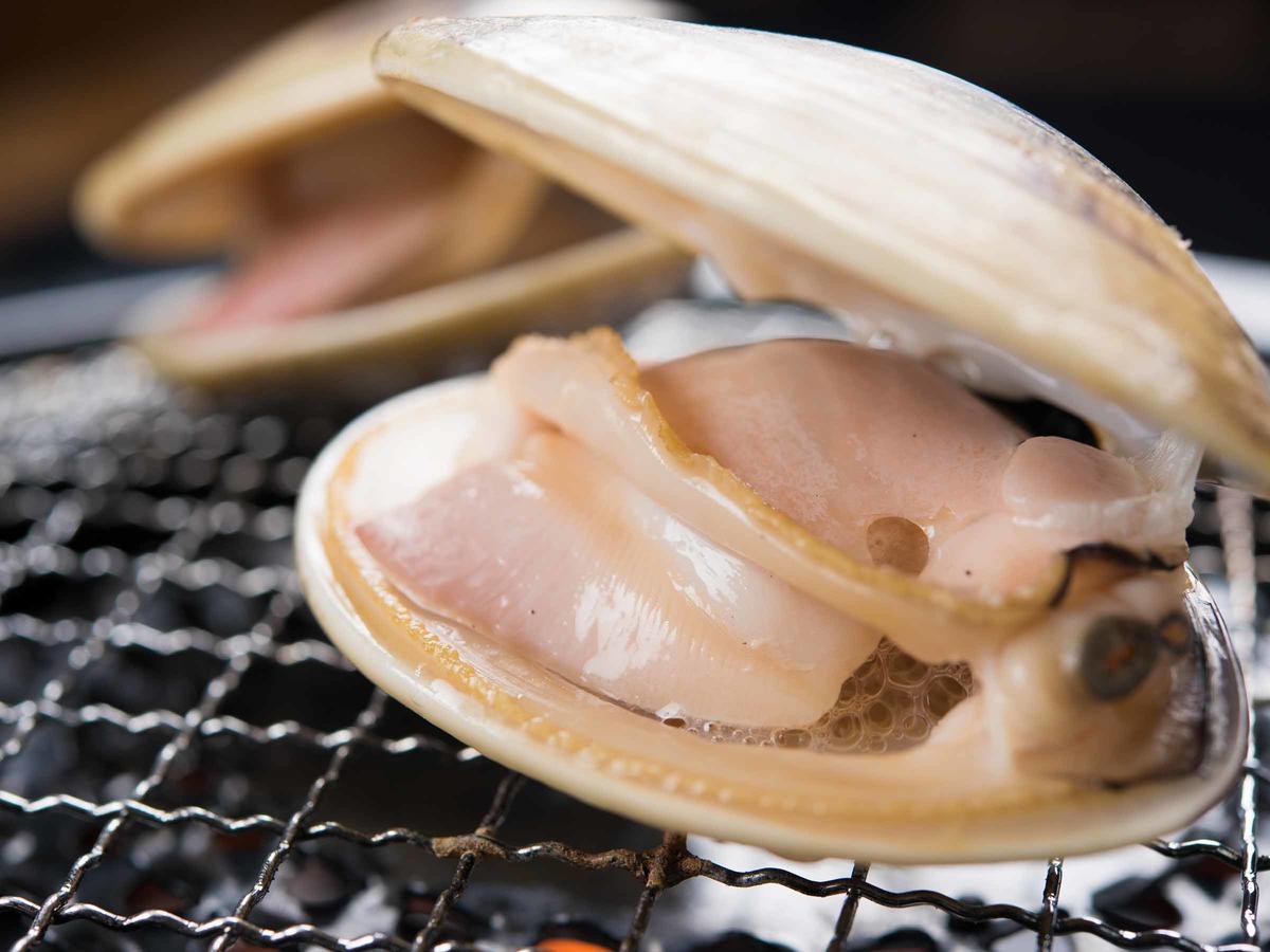 Spa&Resort Kujukuri Taiyou-No-Sato Chosi Номер фото